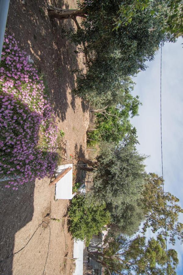 Apartament Grameno Kountoura Selino